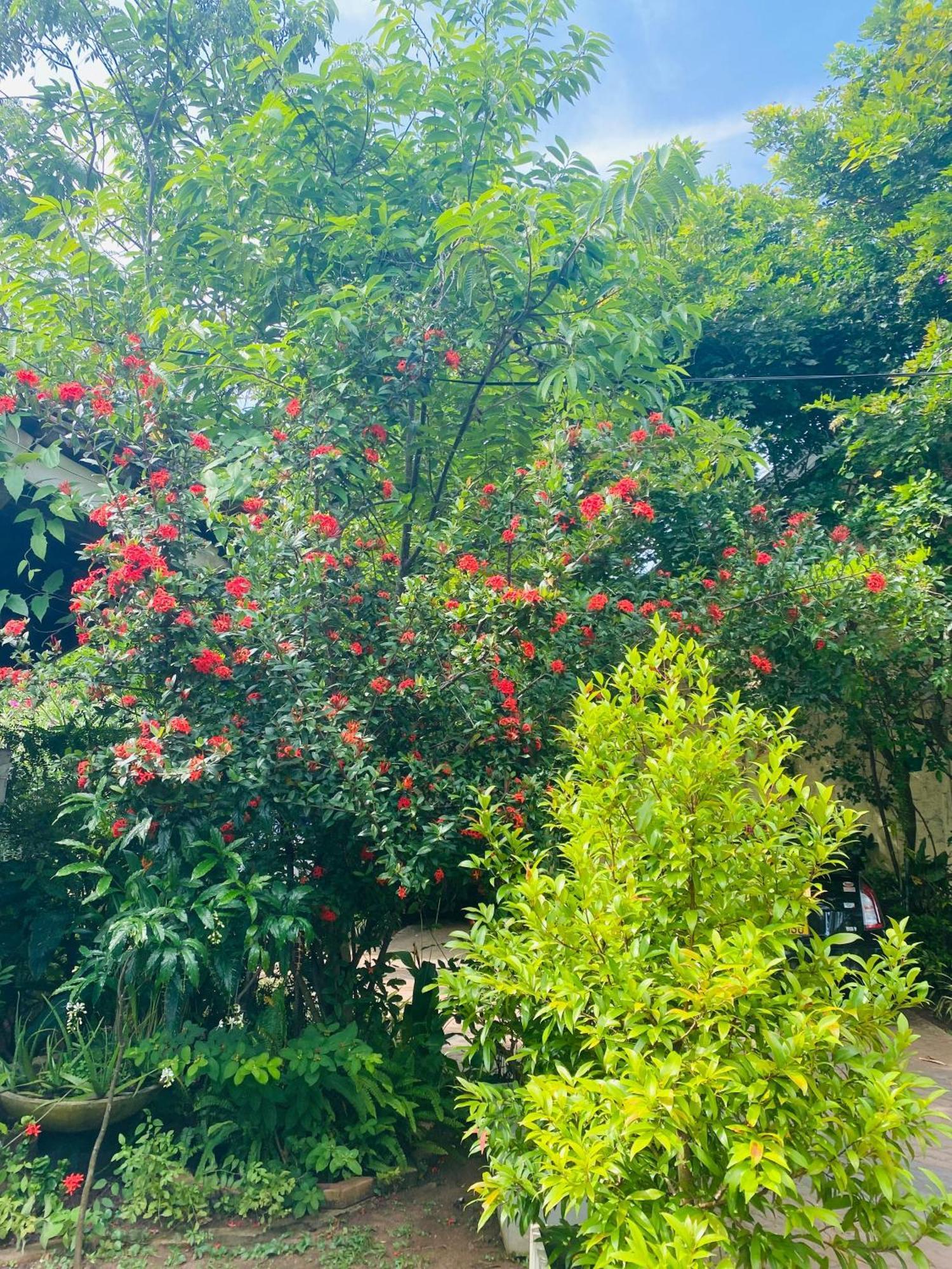 Waasala Leisure Hotel Anuradhapura Buitenkant foto