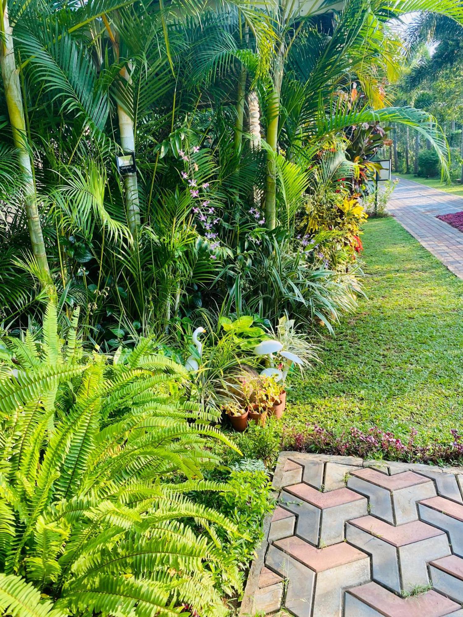 Waasala Leisure Hotel Anuradhapura Buitenkant foto