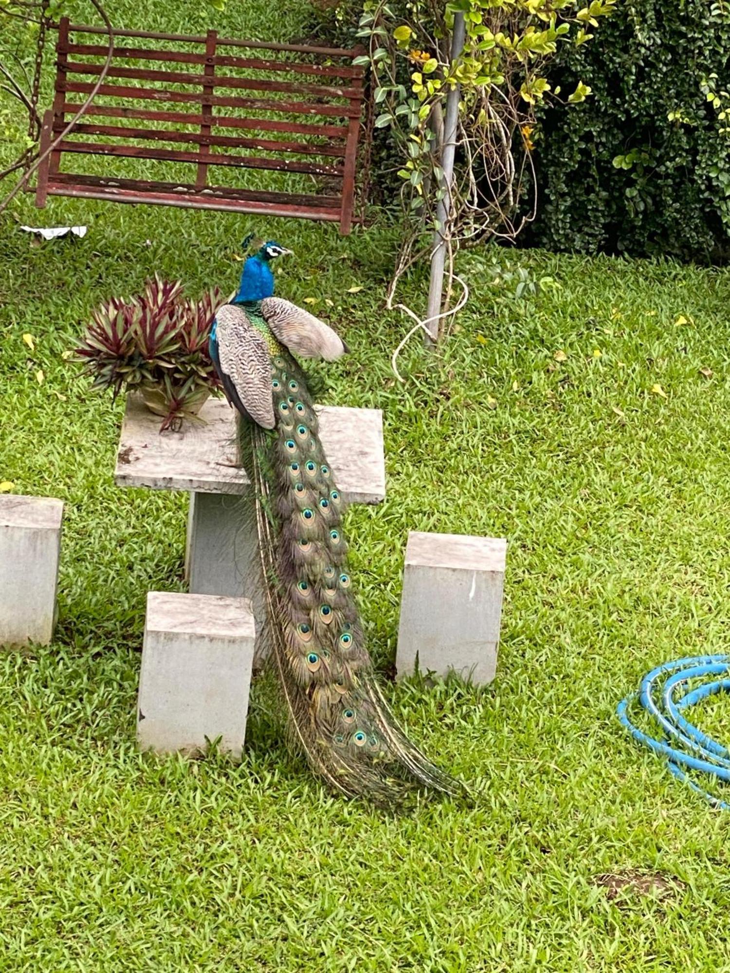 Waasala Leisure Hotel Anuradhapura Buitenkant foto