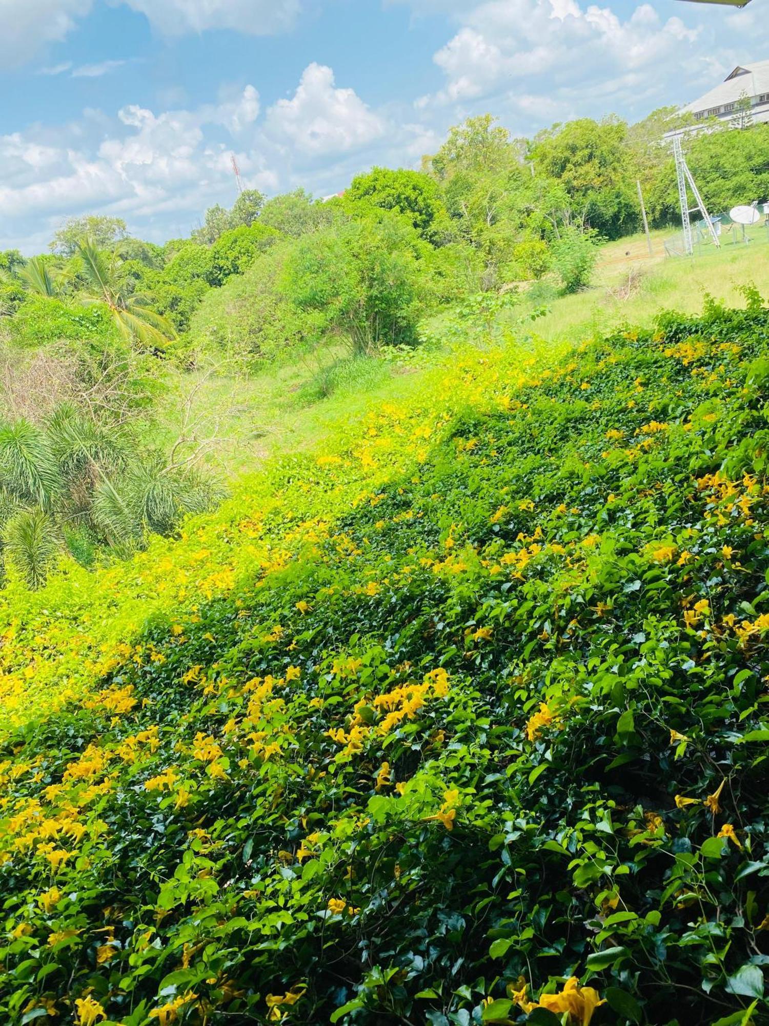 Waasala Leisure Hotel Anuradhapura Buitenkant foto