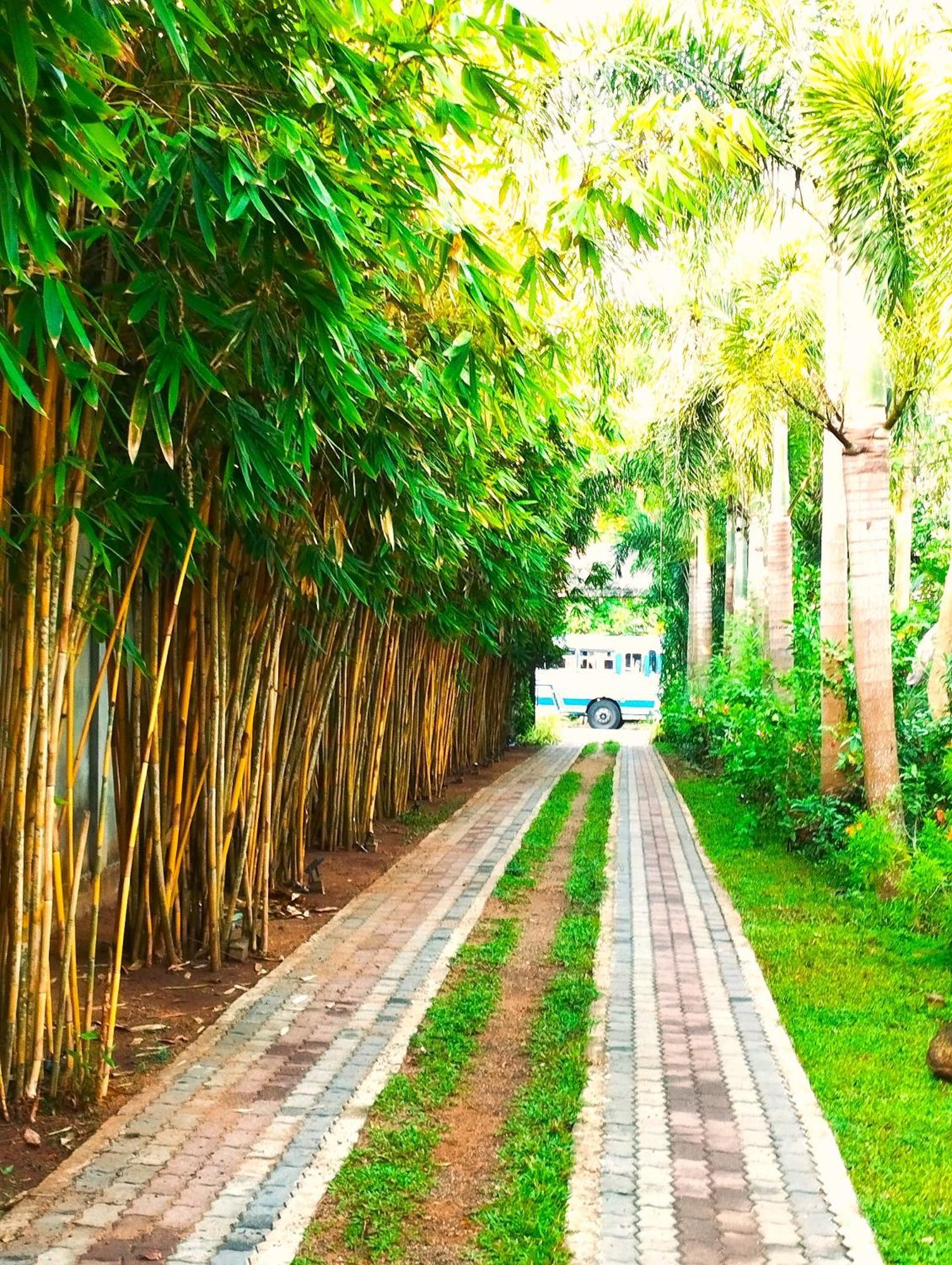 Waasala Leisure Hotel Anuradhapura Buitenkant foto